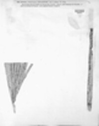 Microdiplodia depazeoides image